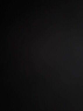 Meet your Posher, Rigby